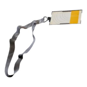 Buried City Hospital Key (Rare)